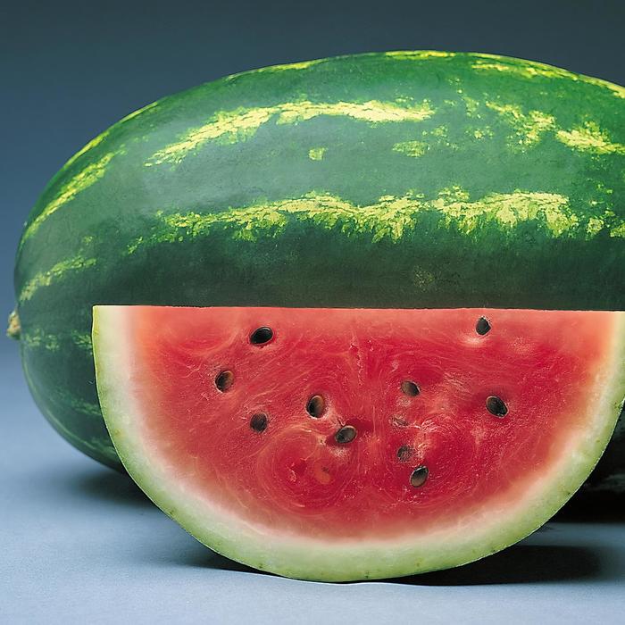 'Sunsugar' Watermelon - Citrullus from Wilson Farm, Inc. 'Sunsugar' Watermelon - Citrullus from Wilson Farm, Inc.