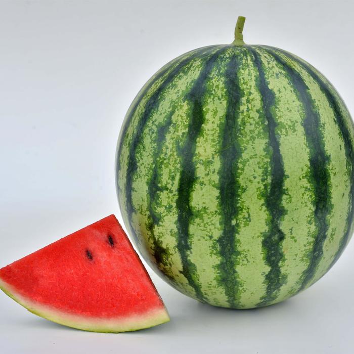 'Mambo' Watermelon - Citrullus lanatus from Wilson Farm, Inc. 'Mambo' Watermelon - Citrullus lanatus from Wilson Farm, Inc.