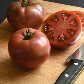 Solanum lycopersicon - Beefsteak Tomato 