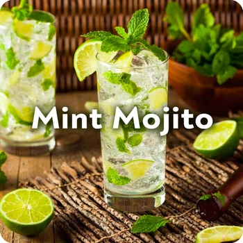 Mentha x - 'Mojito' Mint